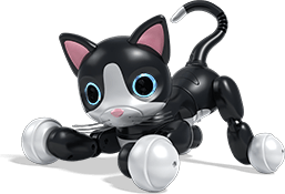 toy